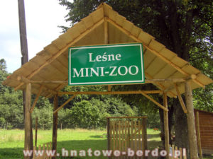 Leśne Mini Zoo